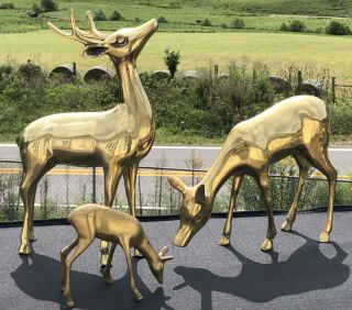 Vintage Brass Deer Figurines / Statues Buck Doe & Dawn Set Of 3 Trio Mid Century