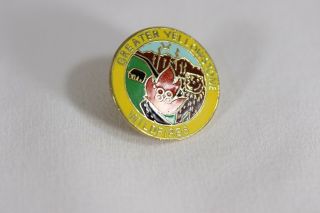 Vintage Greater Yellowstone Park Wildfires 1988 Enameled Hate Lapel Pin 2