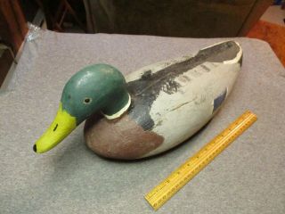 Vintage Duck Decoy/wooden Mallard Drake Decoy/large Sized/neat Old Duck Decoy