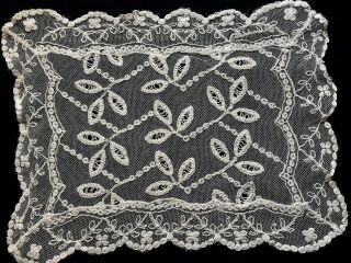 Antique Vintage Gorgeous Tambour Lace Embroidery On The Net Doily 11 " X 8 1/4 "