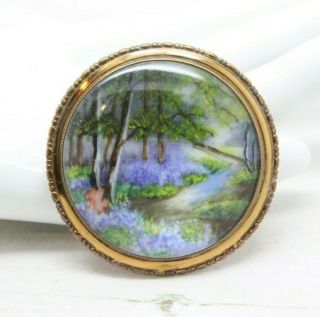 Vintage Signed Tlm (thomas L Mott) Hand Painted Floral Woodland Walk Brooch Pin