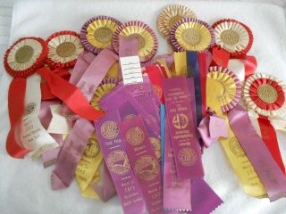 Over 60 Vintage Dog Show Ribbons From The 70 