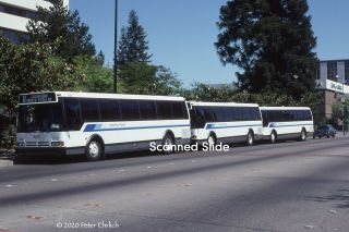 Kodachrome Slide: Santa Rosa Transit 835,  836,  837 At Courthouse Square