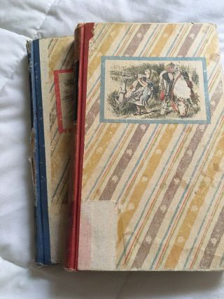 Alice In Wonderland/ Through The Looking Glass Vintage Books