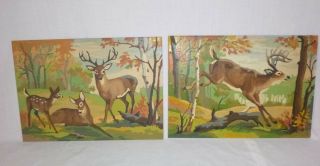 Pr Vtg 1950 ' s Paint By Number Craft Master Deer Haven 14x10 Pann Products 2