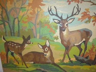Pr Vtg 1950 ' s Paint By Number Craft Master Deer Haven 14x10 Pann Products 3