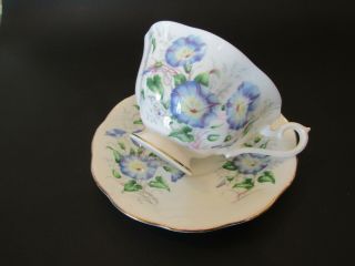 Vintage Royal Albert Teacup And Saucer With Morning Glories