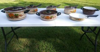 Set Of Seven Retro Vintage Enamel Pots And Pans 6 Fruit Design/1 Brown Pot
