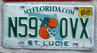 2017 Florida Twin Oranges Over A Green State Outline License Plate St.  Lucie