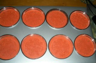 Set Of Six Vintage Gorham Orange Coasters
