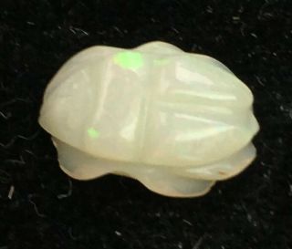 Vintage 10/7mm Carved Australian Opal Scarab Cabochon 12