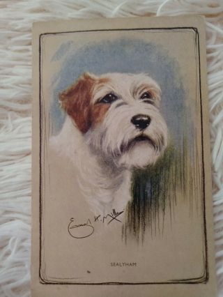 Vintage Dog Postcard.  Art.  Sealyham Terrier.  Artist Edward Miller.  British.