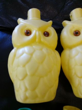 Vintage Set of 6 Blow Mold Plastic Owl Flower Patio RV Camping Party 2