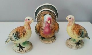 Vintage Turkey Thanksgiving Salt Pepper Shakers Ceramic Tom & Hens Napco