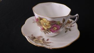 Vintage Rosina Bone China England Fall Floral Gold Trim Tea Cup And Saucer