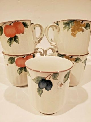 Mikasa Fruit Panorama Country Classics 3 3/4 Inch Ribbed Mugs - Set Of 5 Vintage