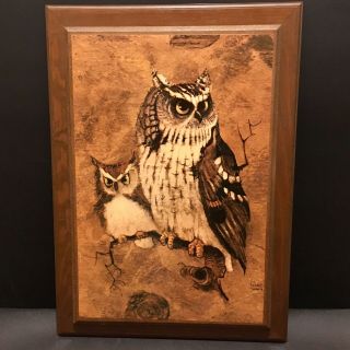 Vintage Richard Hinger Screech Vintage Owl Wood Framed Picture Print Wall Art