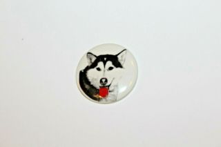 1964 Anchorage Alaska Fur Rendezvous Rondy Pin Piece Ceramic Husky Sled Dog