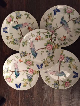 5 Vintage Nippon Hand Painted Peacock Bird Of Paradise Saucer Wall Plates