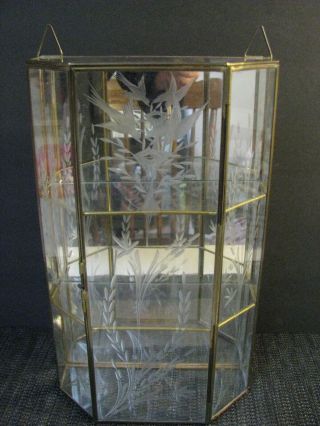 Vintage Brass & Glass Hanging Curio Display Case Etched Garden Bird Scene