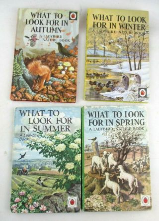 4 Vintage Ladybird Books What To Look For In Spring Summer Autumn Winter 536