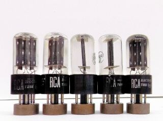 5 Vintage Rca 6w4gt Black Plates Vacuum Tubes.  All For One Money,