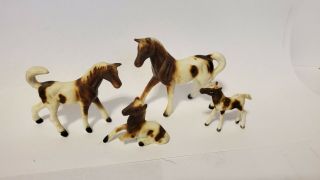 Vintage 4 Bone China Miniature Horse Family Pintos Farm Animals Horses