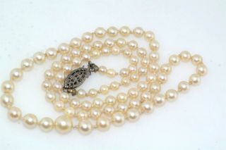 Vintage Japanese Cultured Sea Pearl Graduated Necklace Strand Sterling Clasp