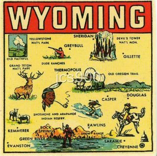 Vintage Wyoming State Map Souvenir Travel Decal Luggage Windshield Gold Arrow