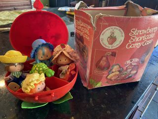 Vintage Strawberry Shortcake Carrying Case With Dolls & Pets Plus Bedding