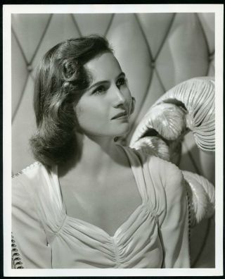 Teresa Wright In Stunning Clarence Bull Portrait Vintage 1940s Dw Photo