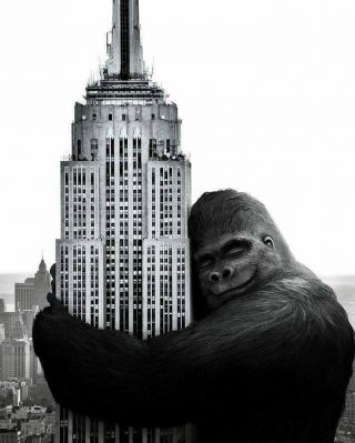 York City: King Kong Hugging The Empire State Building 8 X 10 Photo
