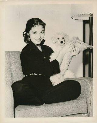 Pier Angeli Candid Poodle Dog Vintage 1950s Mgm Studio Photo