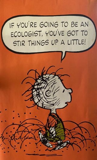 Vtg Peanuts Poster Opened Linus Stir Things Up A Little Orange 28”x20” Springbok