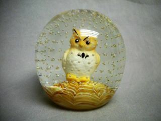 Vintage Joe St Clair Art Glass Sulfide Owl Paperweight Signed Controlled Bubbles