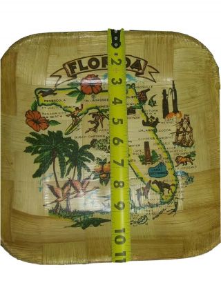 Vintage Florida Bamboo Tray Travel Souvenir Map Color Kitsch Pre Disney World 3