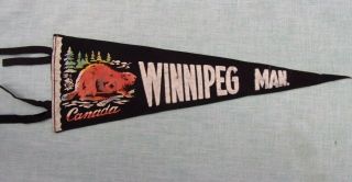 Vintage Winnipeg Manitoba Canada Felt Souvenir Pennant 20 " Beaver