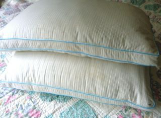 Vintage Feather Down Bed Pillows Standard Size Natural W Blue Piping Guc