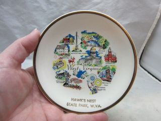 Souvenir Plate From Hawk 