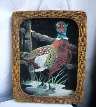 Vintage Pheasant Painted On Velvet Framed 12 X 9 Painting