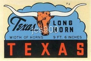 Vintage Texas Long Horn Steer State Souvenir Travel Water Luggage Decal Sticker