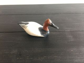 Miniature Canvasback Decoy Signed And Dated By Clarence Bauer 1986