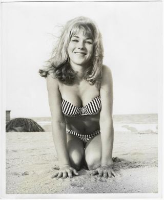 Vintage 1960s Bunny Yeager Photograph Lovely Bikini Pin - Up At Beach Lynne Mcphee