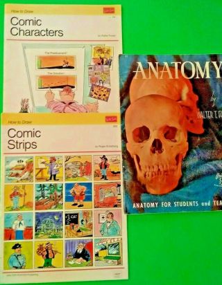 Vintage Comic Strips,  Anatomy☆ (3) How To Draw Books ☆ Walter Foster ☆ Usa