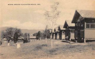Slaughter Beach Delaware Cabins Vintage Postcard Aa21214