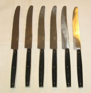 Toledo 1970’s Vintage 6 - Piece Inox Steak Knife Set Horn / Bone Made In Spain