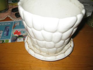 Vtg Basket Weave Cream Pottery Pot Plant Planter Glazed 6 In Heavy Vtg Pot