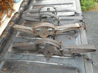4 VINTAGE VICTOR 3 DOUBLE LONGSPRING TRAPS VICTOR NEWHOUSE 2