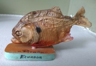 Real Vintage Dried Ecuador Piranha Taxidermy Fish On Wooden Stand,  5 1/2 " Long
