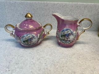 Vintage Dragonware Moriage Florida Pink Flamingo Creamer & Sugar Porcelain Set